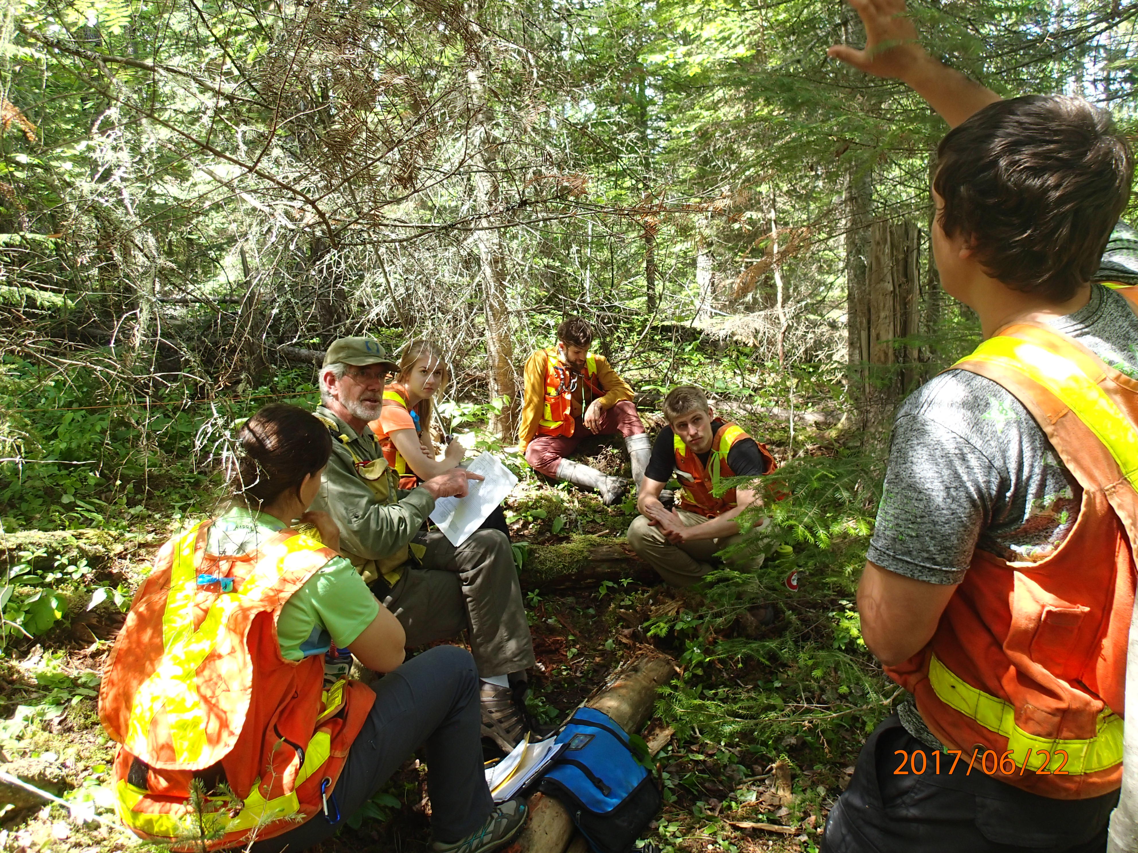 Quetico Foundation Student Summer Research Team familiarizes with vegetation monitoring, with Gerry Racey, before getting further insight into studies of wildfires and planned fire management on a summer-long wilderness canoe excursion. Learn about the work that the Student Summer Research Program does and learn more about the Quetico Foundation here: https://queticofoundation.org/what-we-do/programs/ Photo credit: Brian Jackson, Quetico Provincial Park Biologist
