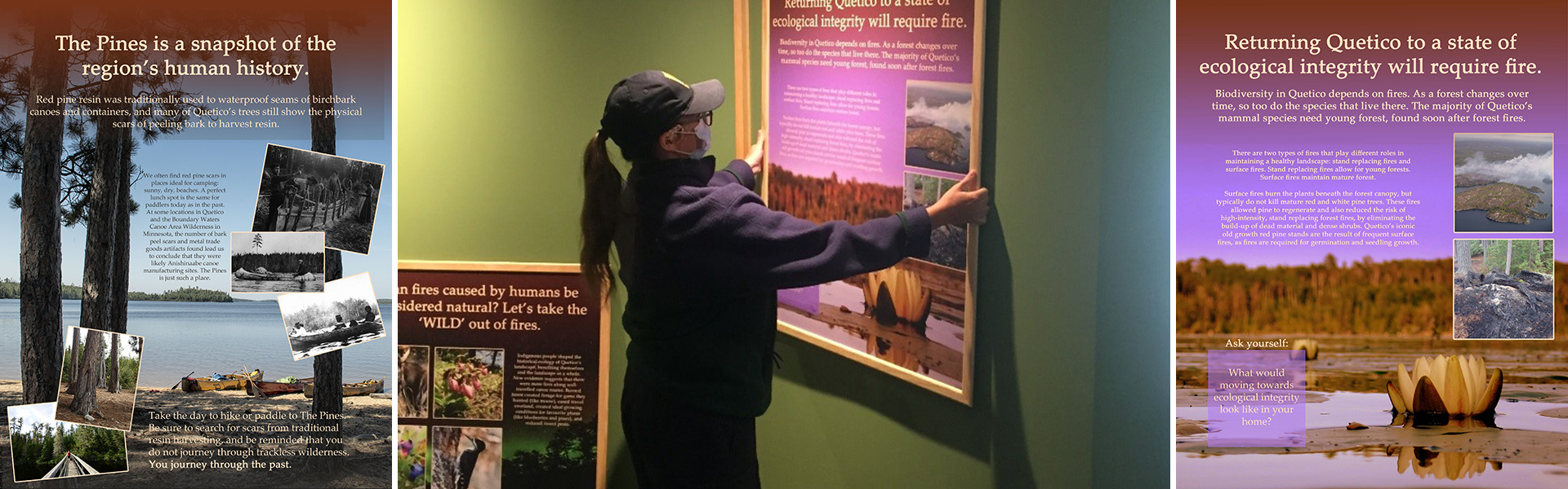Red Pine Display at Quetico Provinical Park Visitor Centre