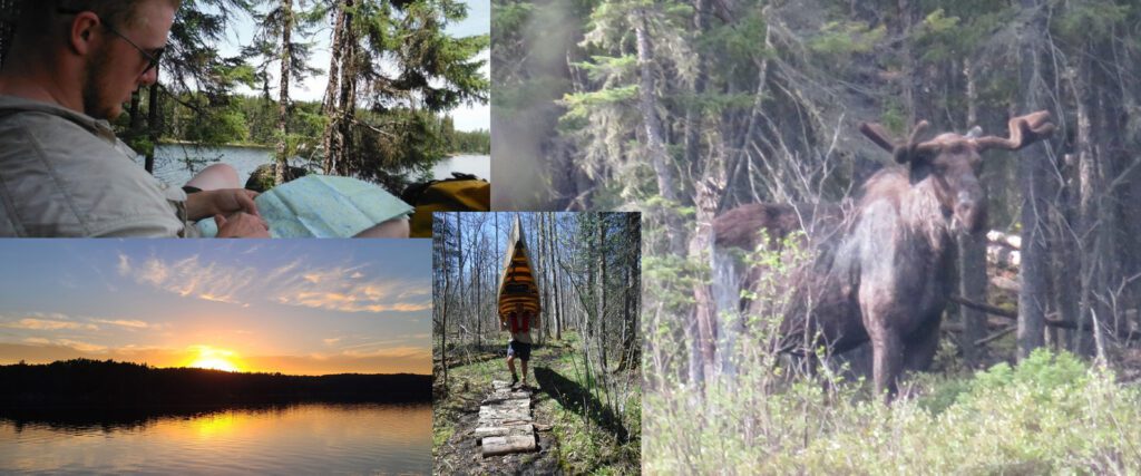 Collage of four photos: moose, sunset, a man portaging a canoe and a man sitting at a campsite