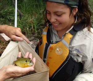 Cat Langille inspects the catch from a seine pull net. Credit: Jared Walter Stachiw