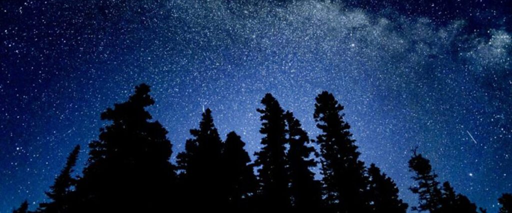 Quetico night sky