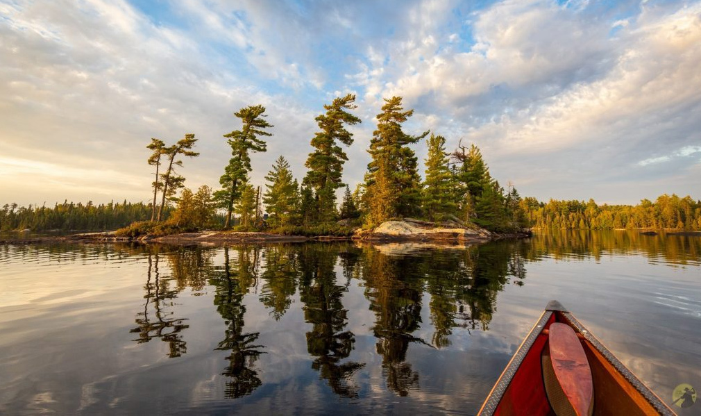 Biology-Internship-Program